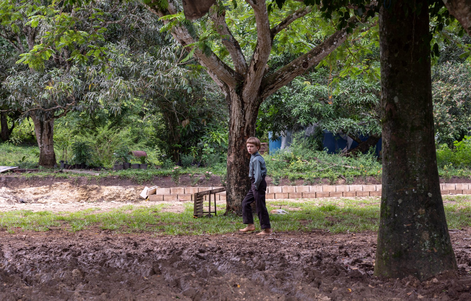A barefoot boy between the trees