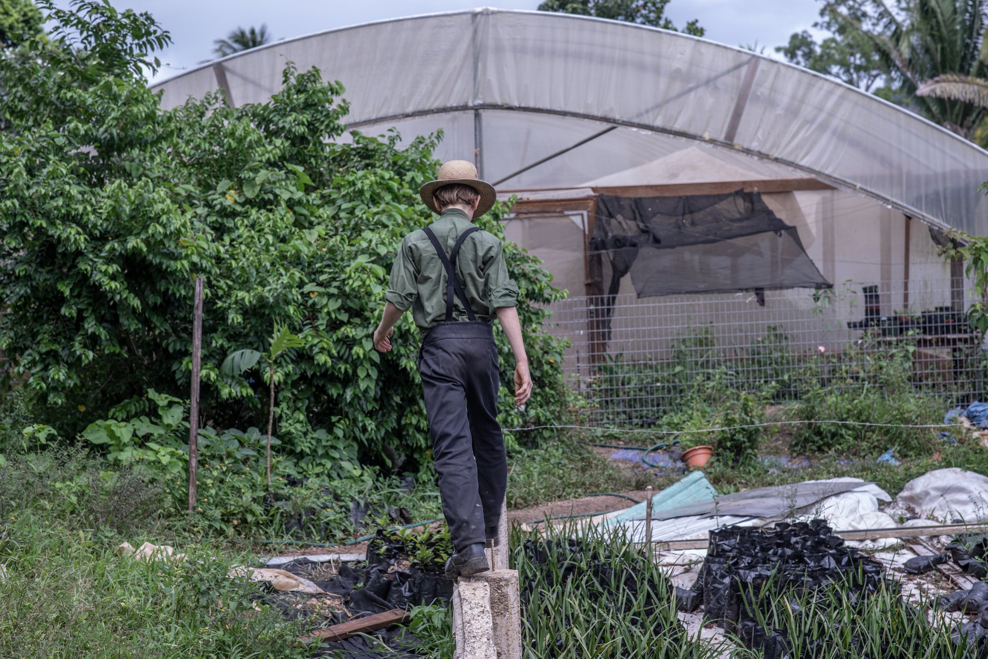 A boy walking the plant nursery
