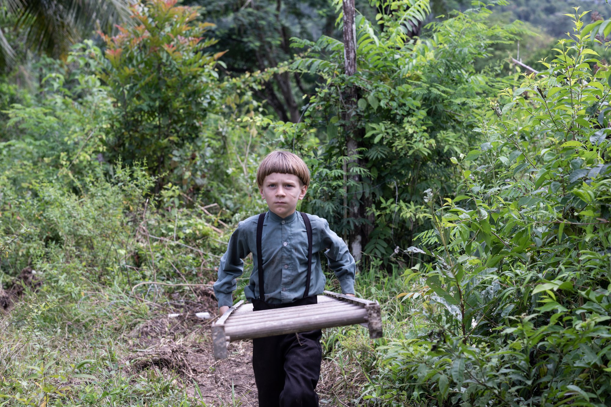 A boy carries a wooden ladder through the trees