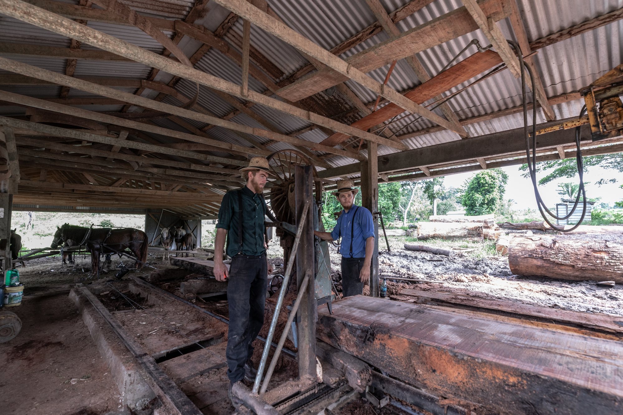 The sawmill