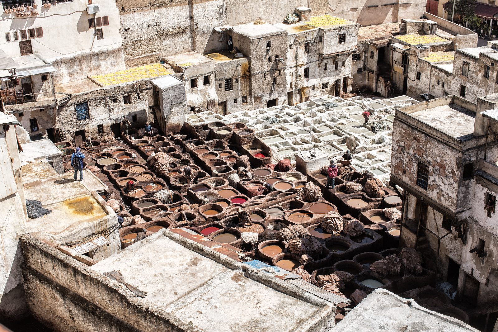 A high-angle, sunlit view of the Chouara Tannery in Fès, a dense grid of stone vats with white, brown, and red liquids, yellow hides drying on rooftops