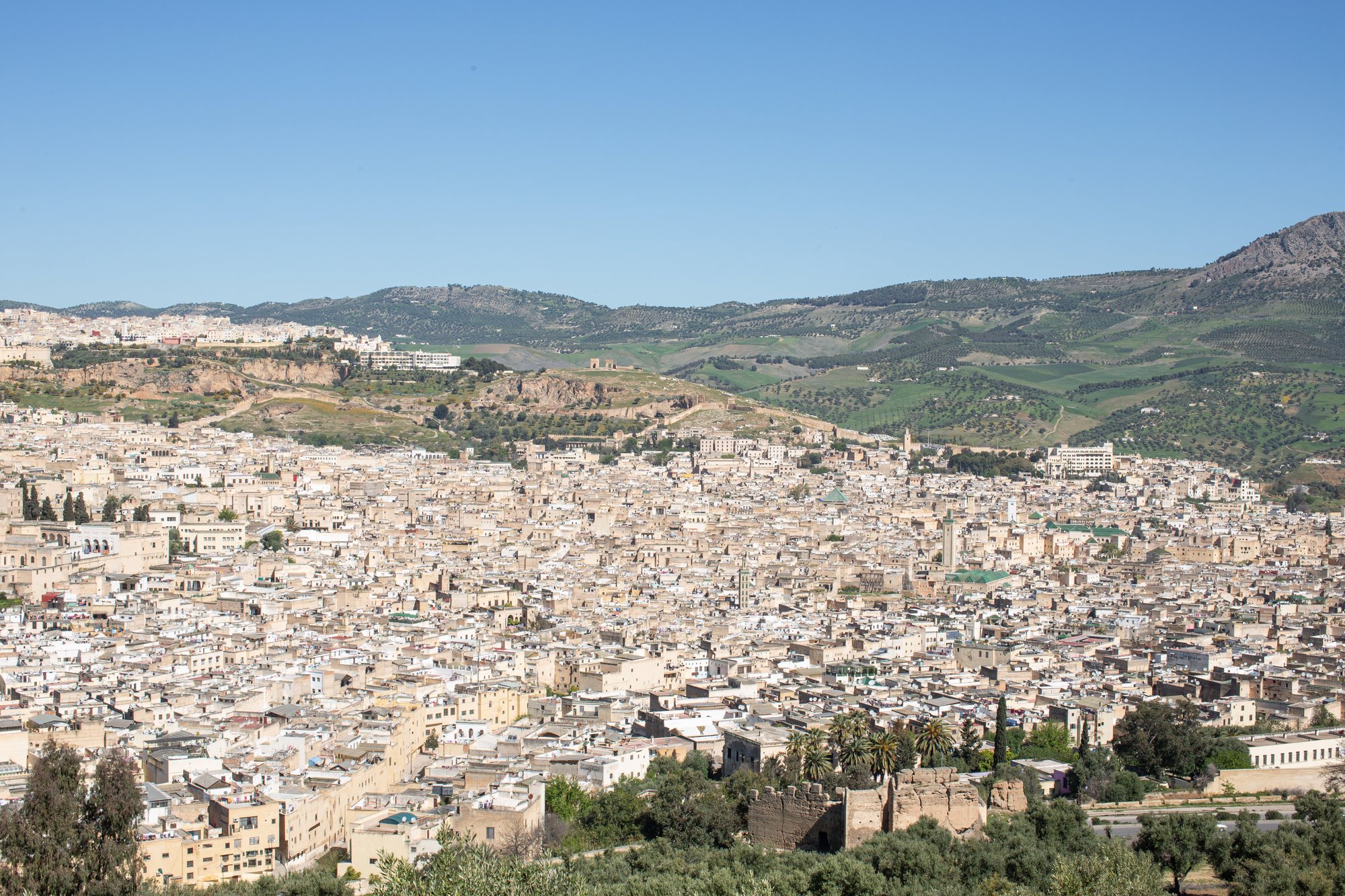 Fès el-Bali seen from the hills, packed wall to wall