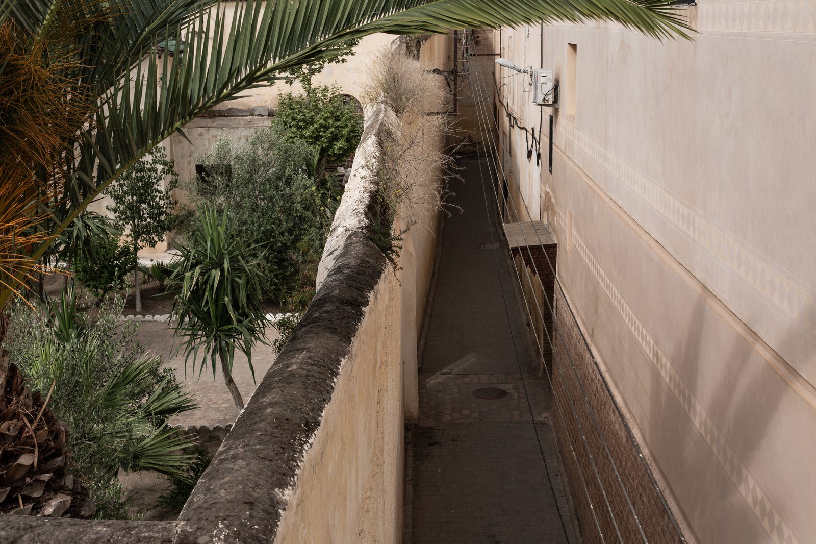 A narrow, paved alley inside a traditional riad, framed by palm fronds, a verdant garden on the left and a smooth beige tadelakt wall on the right