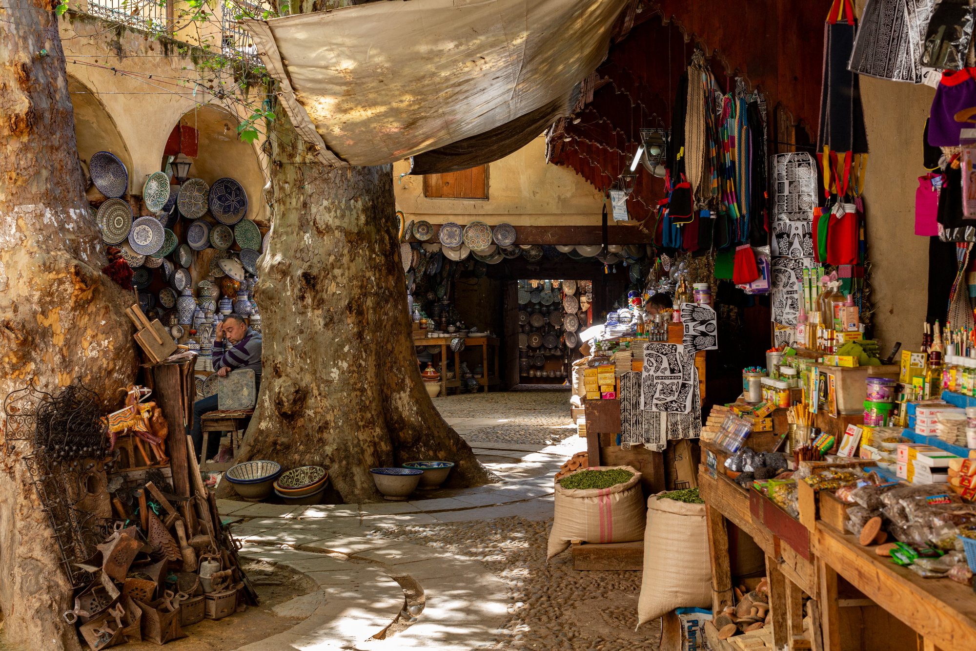 An old plane tree, a resting vendor, and the ceramics of the Fassi