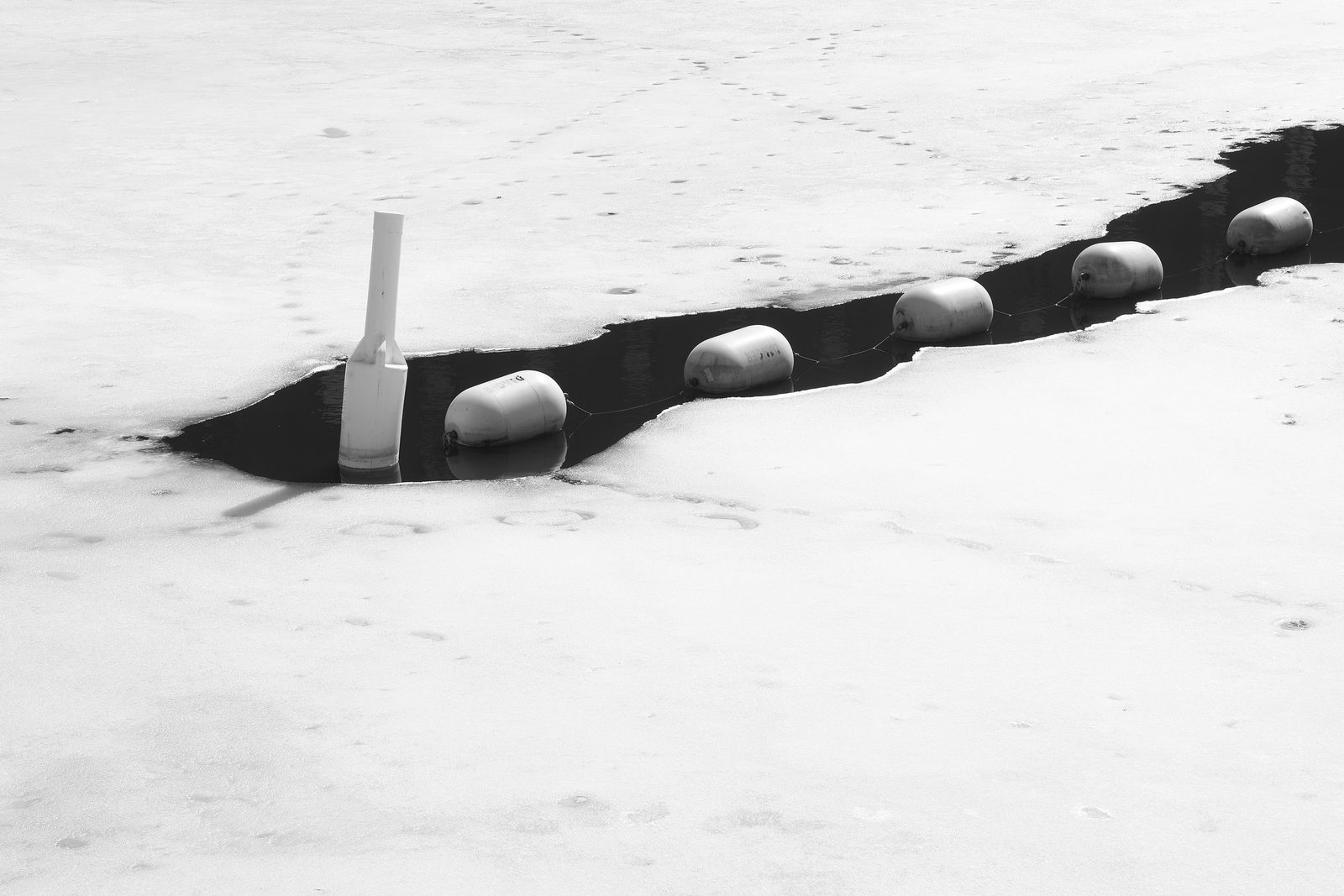 A line of channel buoys floating in a dark open-water channel cutting through snow and ice