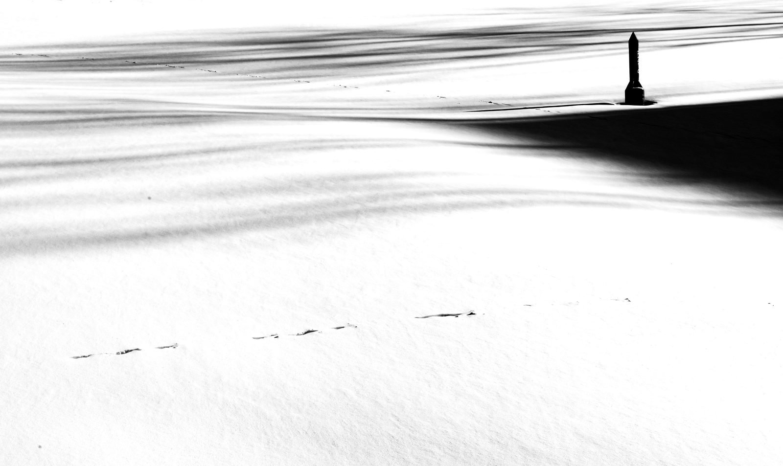 Long sweeping tree shadows across bright snow, with a small silhouetted monument and faint tracks