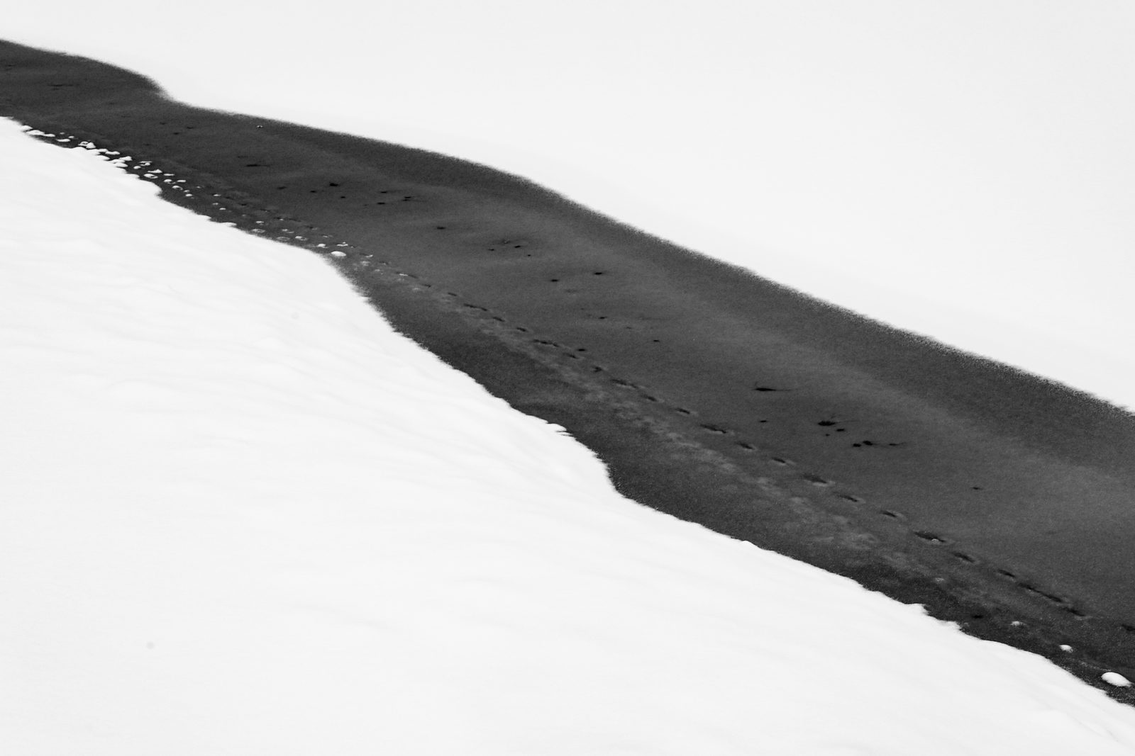 A dark packed-snow trail with a solitary line of footprints winding diagonally across white