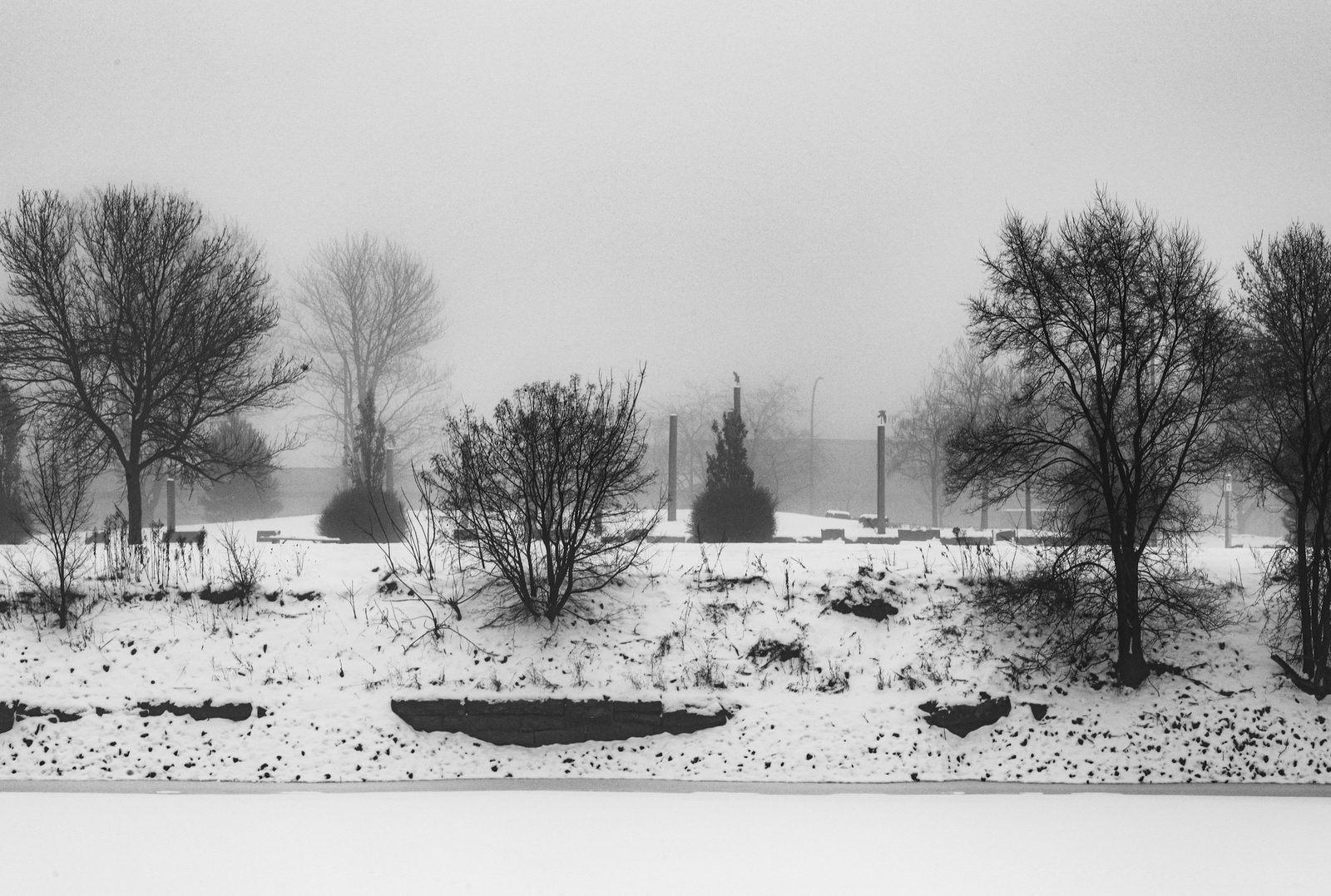 Bare leafless trees on a snowy slope behind a low stone wall, a flat snow-covered foreground fading into heavy fog